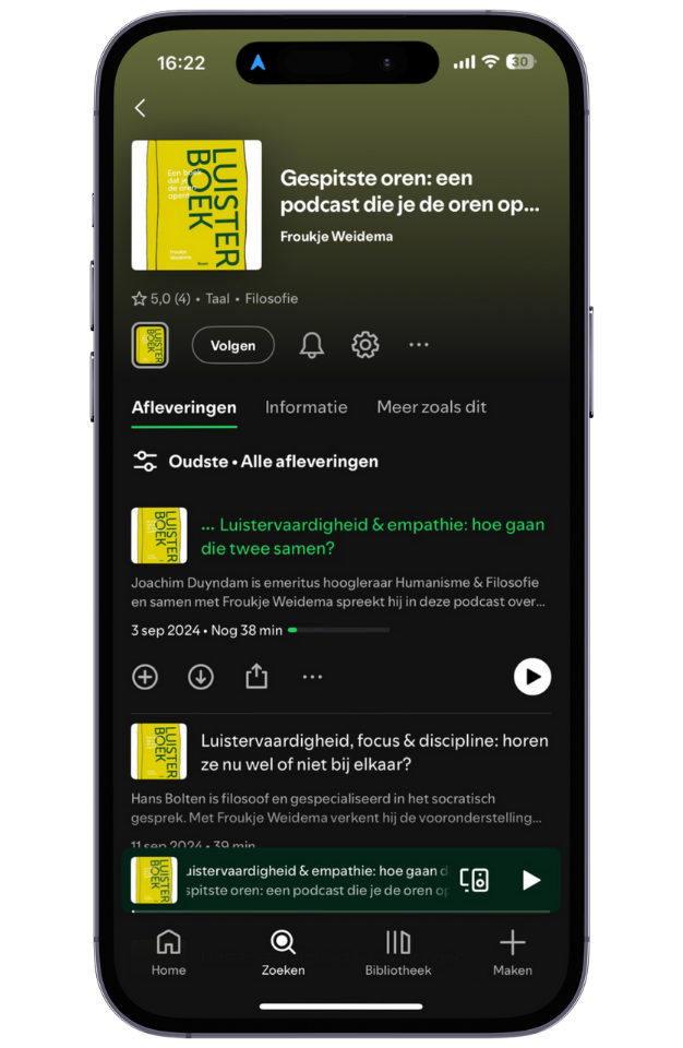 Luisterboek Froukje Weidma Podcast